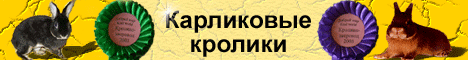 http://www.karlik-krolik.ru/fon/ban468x60.gif