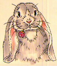 0a82.jpg